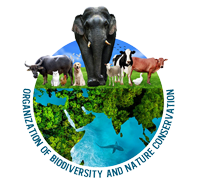 obnc _logo